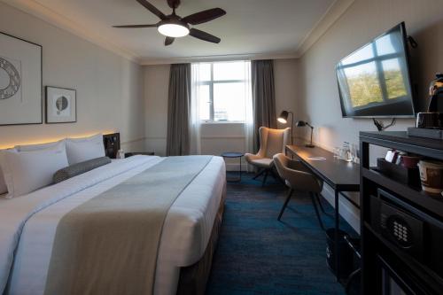 room detail thumbnail 0