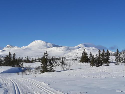 Gamlestugu Greivjord Fjellgard in Tuddal