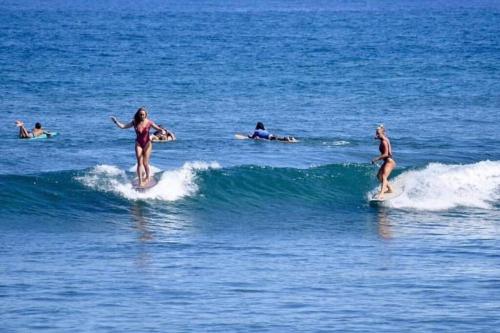 Wave View Village - Beach Front - Luxury Spot - image 3