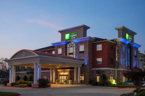外部景觀, 德克薩肯納智選假日套房酒店 (Holiday Inn Express Hotel and Suites Texarkana) in 特克薩卡納 (TX)