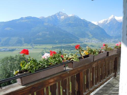 Afficher, Areithof in Zell Am See Airport