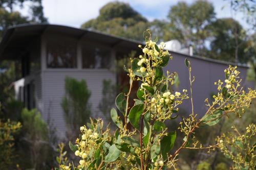 Southern Ocean Retreats - Deep Creek National Park