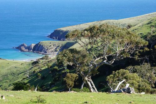 Southern Ocean Retreats - Deep Creek National Park