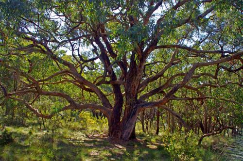 Southern Ocean Retreats - Deep Creek National Park