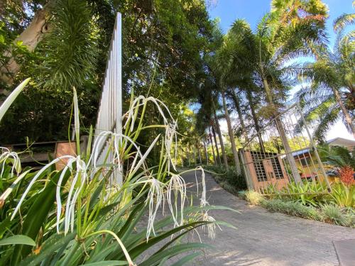 Cairns Rainforest Retreat