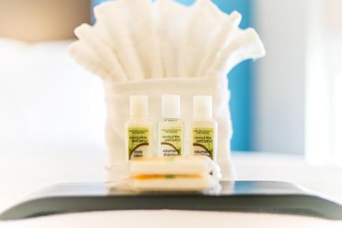 Holiday Inn & Suites Chattanooga Downtown by IHG