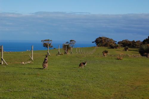 Southern Ocean Retreats - Deep Creek National Park