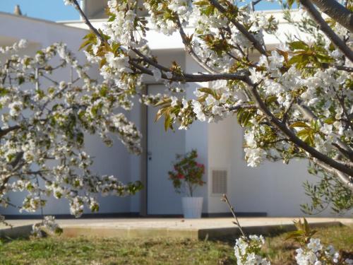  Il Giardino dei Ciliegi - Turi, Pension in Turi bei Casamassima