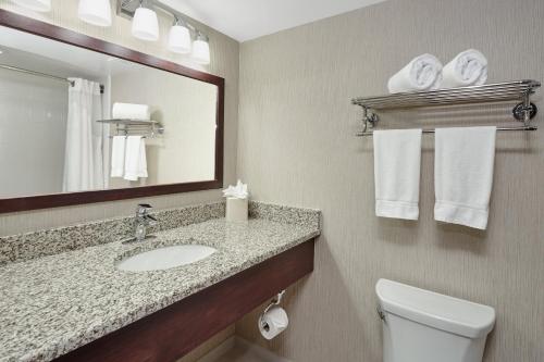 Holiday Inn & Suites Chicago-Carol Stream Wheaton by IHG in Carol Stream, USA