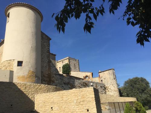 APPARTEMENT T2 avec TERRASSE ds maison de village pres d avignon