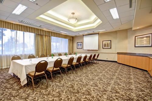 Holiday Inn Windsor - Ambassador Bridge, an IHG Hotel