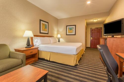 Holiday Inn Express Hotel & Suites Manteca an IHG Hotel - image 13