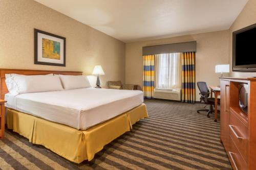 Holiday Inn Express Hotel & Suites Manteca, an IHG Hotel