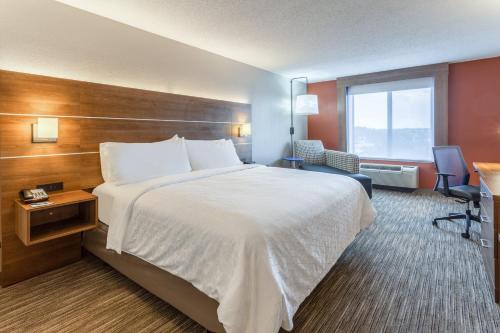 Holiday Inn Express Hotel & Suites Shiloh/O'Fallon an IHG Hotel - image 7