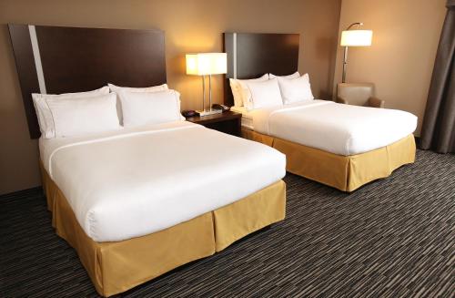 Holiday Inn Express & Suites Omaha South Ralston Arena an IHG Hotel - image 2