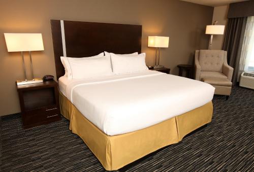 Holiday Inn Express & Suites Omaha South Ralston Arena