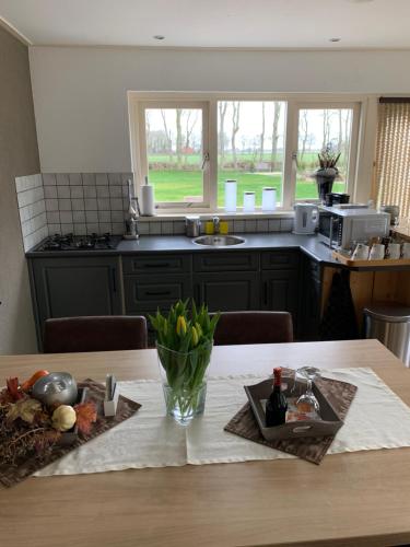  Skoallehus vakantiewoning in De Bult