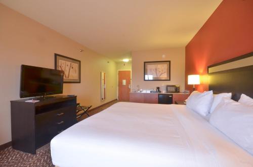 Holiday Inn Express & Suites Pine Bluff/Pines Mall