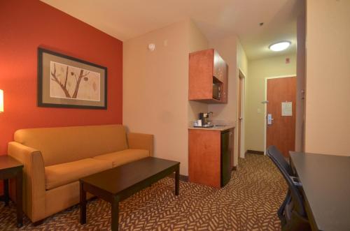 Holiday Inn Express & Suites Pine Bluff/Pines Mall