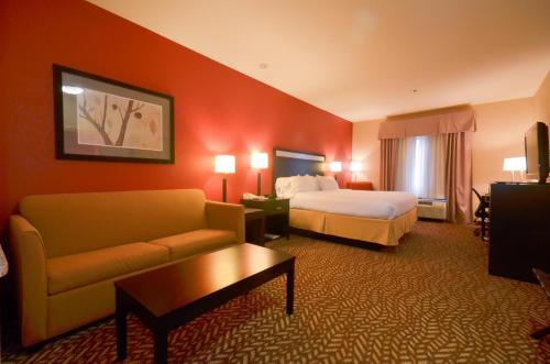 Holiday Inn Express & Suites Pine Bluff/Pines Mall