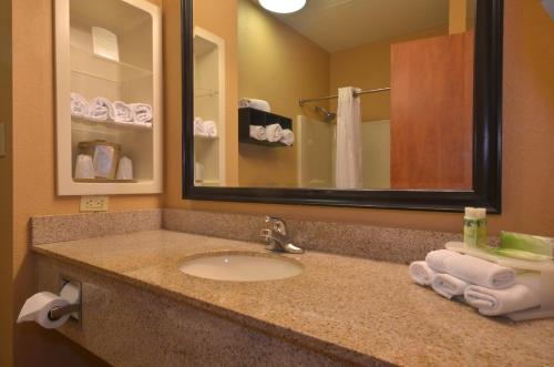 Holiday Inn Express & Suites Pine Bluff/Pines Mall