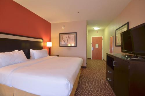 Holiday Inn Express & Suites Pine Bluff/Pines Mall, an IHG Hotel