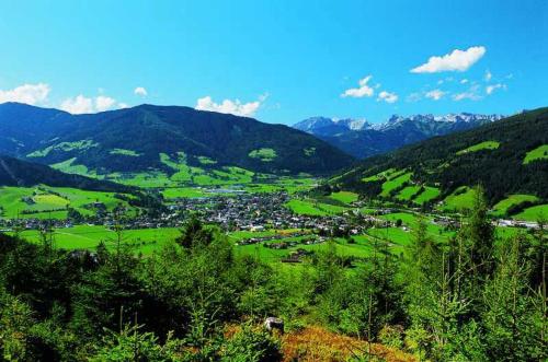 Hotel Gasthof Markterwirt - image 10