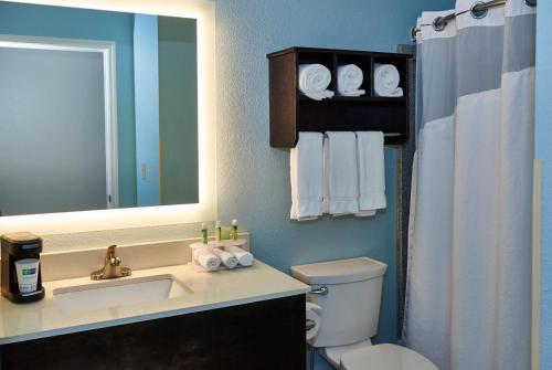 Holiday Inn Express & Suites Birmingham South - Pelham by IHG in Pelham, USA