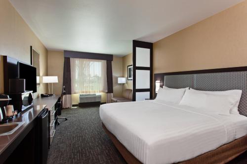 Holiday Inn Express & Suites Anaheim Resort Area