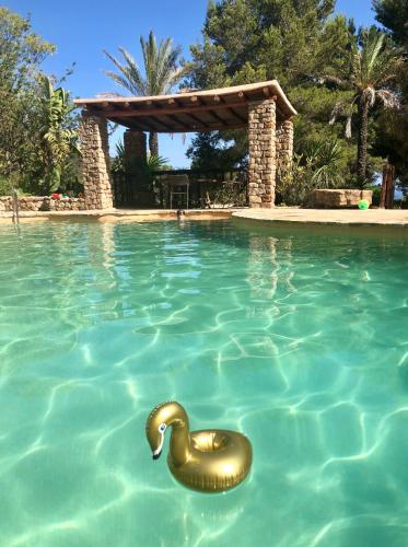 Agroturismo Can Talaias San CArlos - image 3