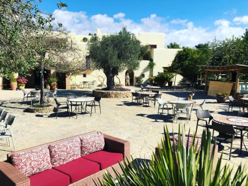 Agroturismo Can Talaias San CArlos - image 10