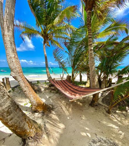 B&B Little Corn Island - Little Corn Island Beach and Bungalow - Bed and Breakfast Little Corn Island