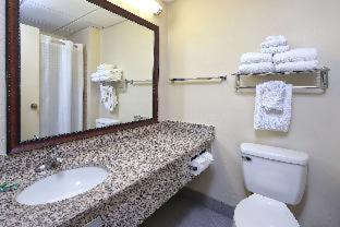 King Room with Roll-In Shower - Mobility Accessible/Communication Assistance/Non-Smoking