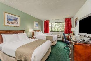 The Pell, Part of JdV by Hyatt