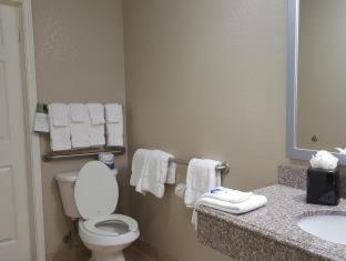 Best Western Boerne Inn & Suites