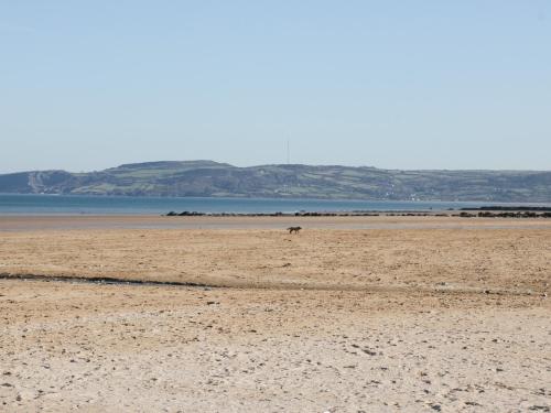 Bay View - image 6