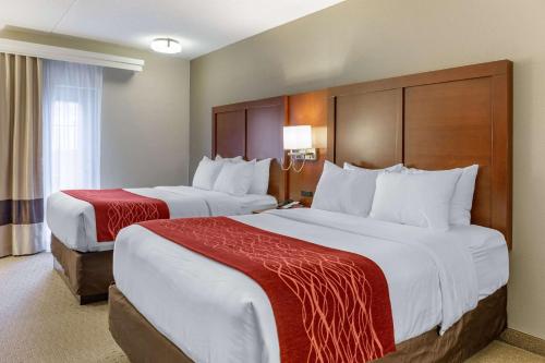 2 queen beds