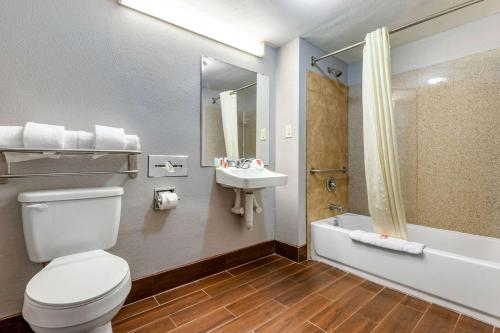 Econo Lodge Rock Hill - image 5