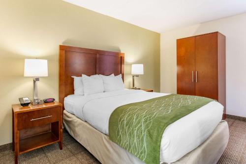 Queen Room - Disability Access/Non-Smoking