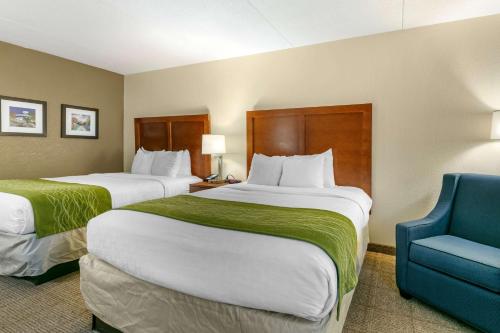 Comfort Inn Downtown Lookout Mountain Chattanooga