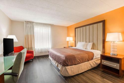 1 king bed