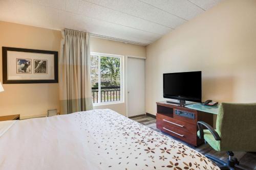 1 king bed