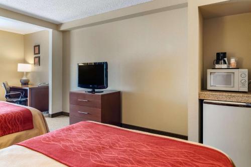 Comfort Inn and Suites in Suwanee (GA)
