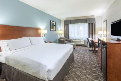 Holiday Inn Express Hotel and Suites Lake Charles, an IHG Hotel