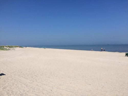 Strandroggen in Wangerland, Deutschland