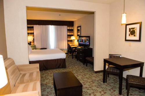 Holiday Inn Express Hotel & Suites Houston NW Beltway 8-West Road, an IHG Hotel - image 6