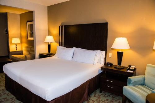 Holiday Inn Express Hotel & Suites Houston NW Beltway 8-West Road, an IHG Hotel - image 10