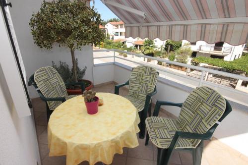 Apartment in Novigrad 