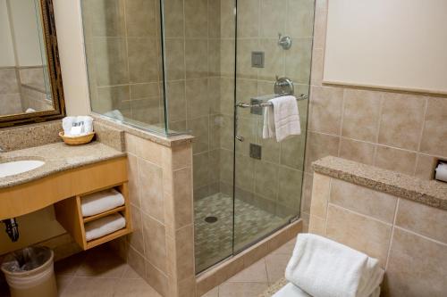 Bavarian Inn Lodge - image 20