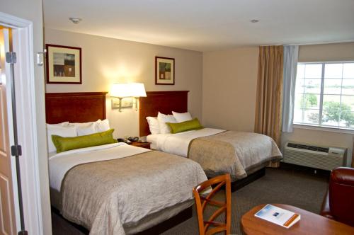 Studio Suite with Two Double Beds